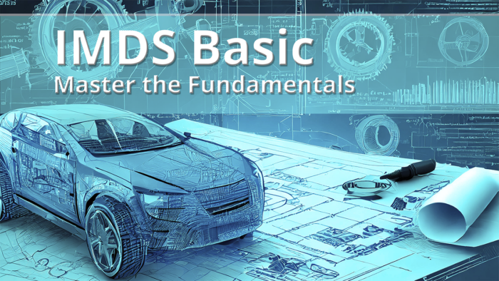 IMDS Basic (English) - Oct 29 & 30